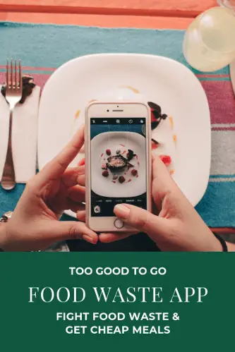 Too Good To Go - Reduce Food Waste & Get Cheap Meals