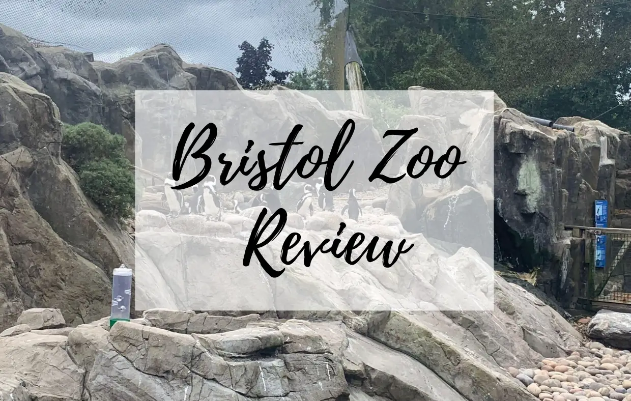 Bristol Zoo Review