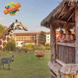 Chessington World of Adventures Family Stay (up to 5 people) from £119