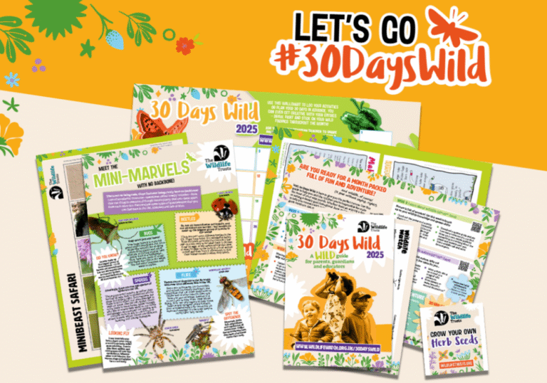 30 days wild