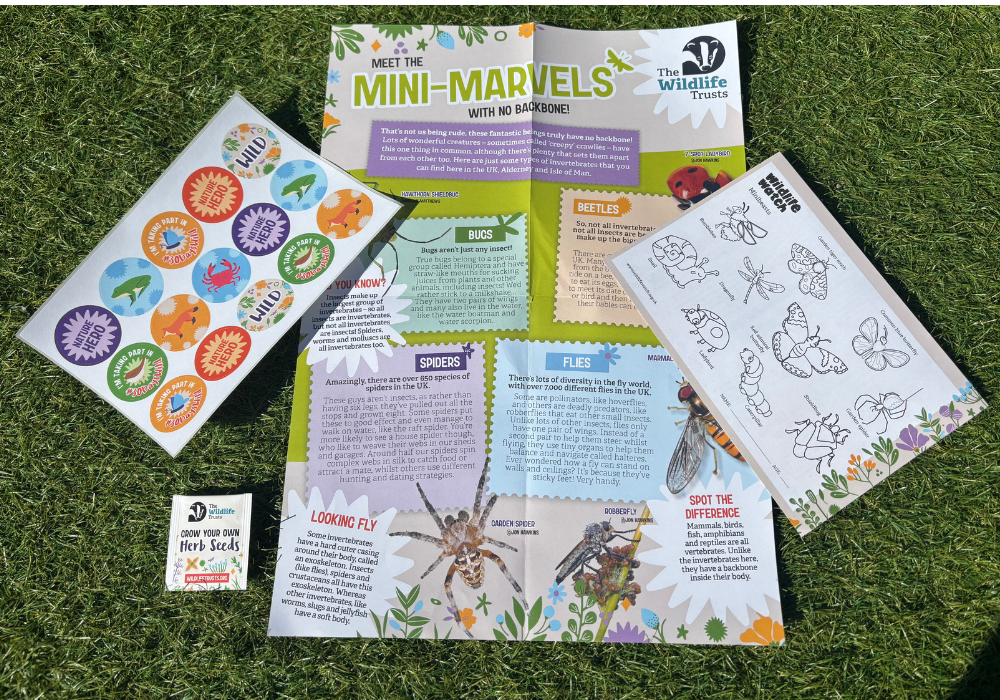 free-wildlife-pack Free Wildlife Pack