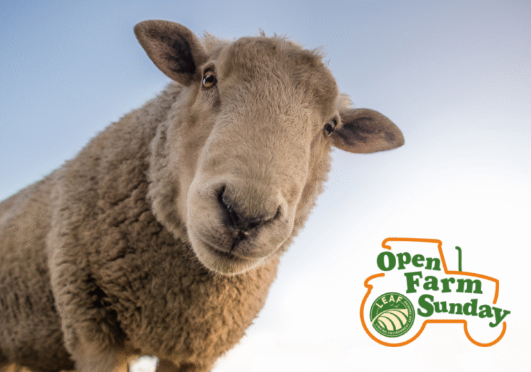 Open Farm Sunday